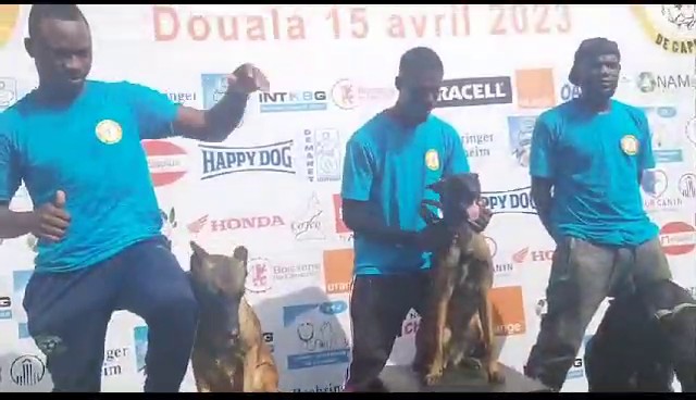 Reportage  CANAL Il du Dog Challenge edition III